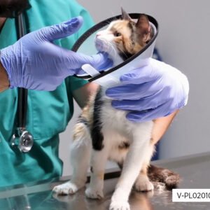 DEDEKS® POST-OPERATION COLLAR