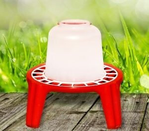 6 Liter Footed Waterer